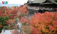 おしゃべりタイム(9月12日)