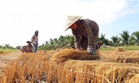 ベトナムの気候変動対応を支援するUNDPの活動