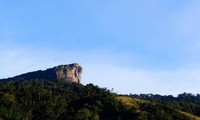 北部ソンラ省のモクチャウ国家観光地