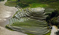 ベトナム西北部の雨季の美しさ