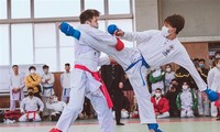 在日本ベトナム人の空手道選手権大会