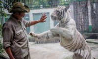 10年以上もトラを飼育していた人