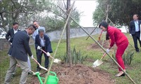 ハノイ市内のホアビン公園110本の桜の木を植樹