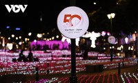 LED電球50万個の日越50周年記念イルミネーション、ホーチミン市で開催