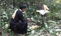 カオバン省のロロ族の雨乞い祭り