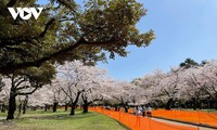 リスナーと共におしゃべりタイム （4月11日）