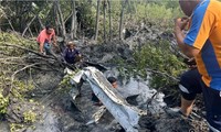 タイで小型機墜落　乗客乗員あわせて9人が行方不明