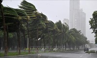 台風ヤギ、中国海南省に上陸 風速65メートル