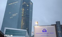 ECB、12月も追加利下げの可能性高まる 米大統領選を警戒＝関係筋