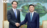 ロン副首相 在ベトナム中国大使と会見