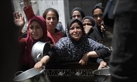 ガザ地区で物資の配給めぐり798人死亡 国連が発表
