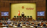 国会、ハノイ・ホーチミン市・ダナン市の特別メカニズムを議論