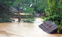 Bantuan pemerintah kepada 4 provinsi Vietnam Tengah mengatasi akibat banjir