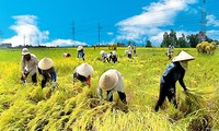 Pembangunan pedesaan baru, tugas penting dewasa ini.