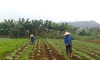 Perancangan tentang pembangunan pedesaan baru