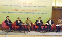 UN advises Vietnam to rethink industrial policies