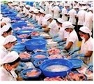 Vietnam's fisheries exports target US$6.5 billion revenue this year