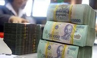 Vietnam restructures credit organization system