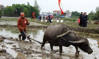 全国各地企业和农民开始了春节后复工复产