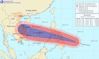 越南政府总理要求主动应对强台风“海燕”