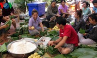 旅外越南人欢度民族传统春节