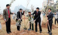 全国各地纷纷举行2014年“世代铭记胡志明主席功绩”植树节活动