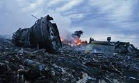 国际社会对马航MH17空难的反应   越南建议进行迅速透明的调查