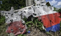 荷兰接收马航MH17客机遇难者个人物品