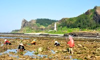 李山——又是一年浅水季