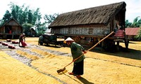 西原地区减贫项目启动仪式在广南省举行