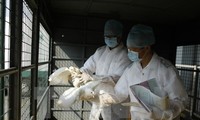 中国香港确诊首个H7N9禽流感病例