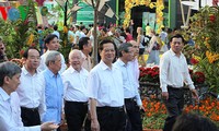 阮晋勇参观2015年胡志明市花街