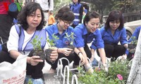 河内团市委建设青年花街