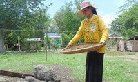 山区县庆和的新农村建设活动