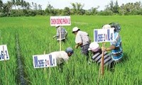 越南前江省开展“建设伙伴关系，提高越南沿海人群适应气候变化能力”项目