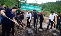 广平省和奠边省种花感恩武元甲大将