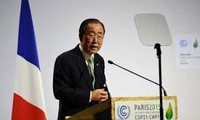 COP 21：各国谈判进入冲刺阶段