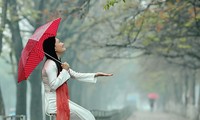 一组以春雨为主题的歌曲