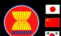 东盟与中日韩面向实现建设更广阔共同体的目标