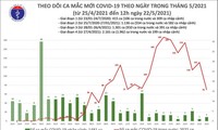  5月22日，越南新增52例新冠肺炎确诊病例