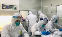 越南6月10日上午新增88例新冠肺炎确诊病例