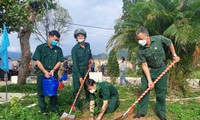 岘港市启动植树节活动