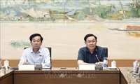 越南政府以尽可能高的成绩完成既定目标