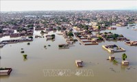 国会主席王庭惠就巴基斯坦暴雨洪涝致慰问信