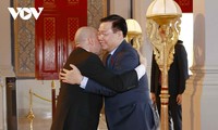 越南国会主席王庭惠拜会柬埔寨国王西哈莫尼 会见柬埔寨参议院主席赛宗