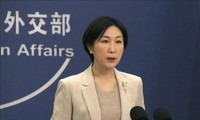 中国继续推动乌克兰问题的政治解决  丹麦计划向乌克兰提供26亿美元援助