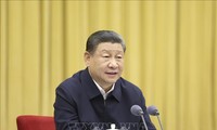 中国国家主席习近平与英国首相通电话