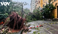 台风摩羯在多地造成重大损失，减弱为热带低压