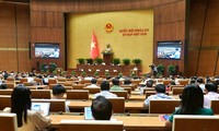 越南十五届国会第八次会议进入第三周工作