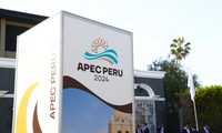 第31届亚太经合组织（APEC）峰会周